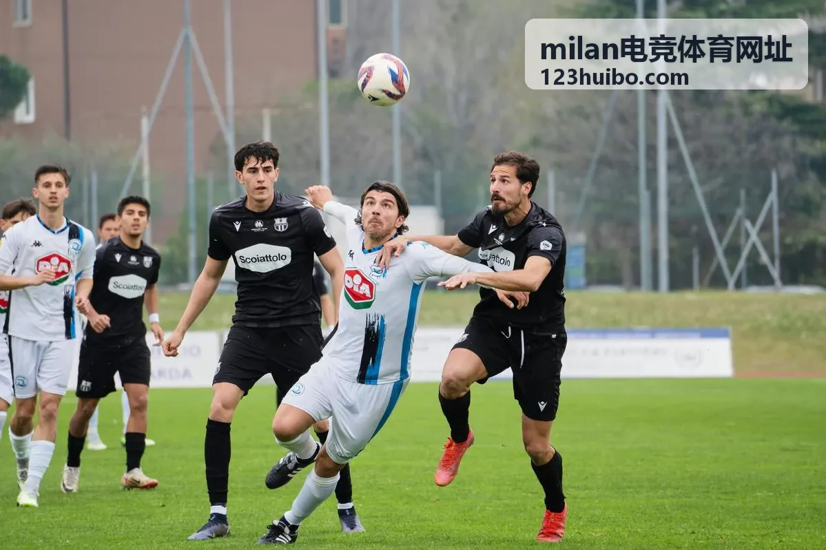 milan电竞体育网址用户头像